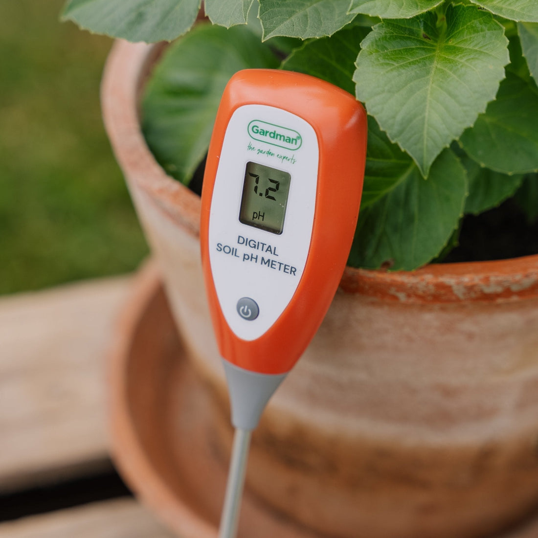 pH - mètre numérique