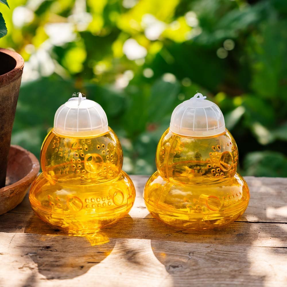 Piège à guêpes, paquet de 2