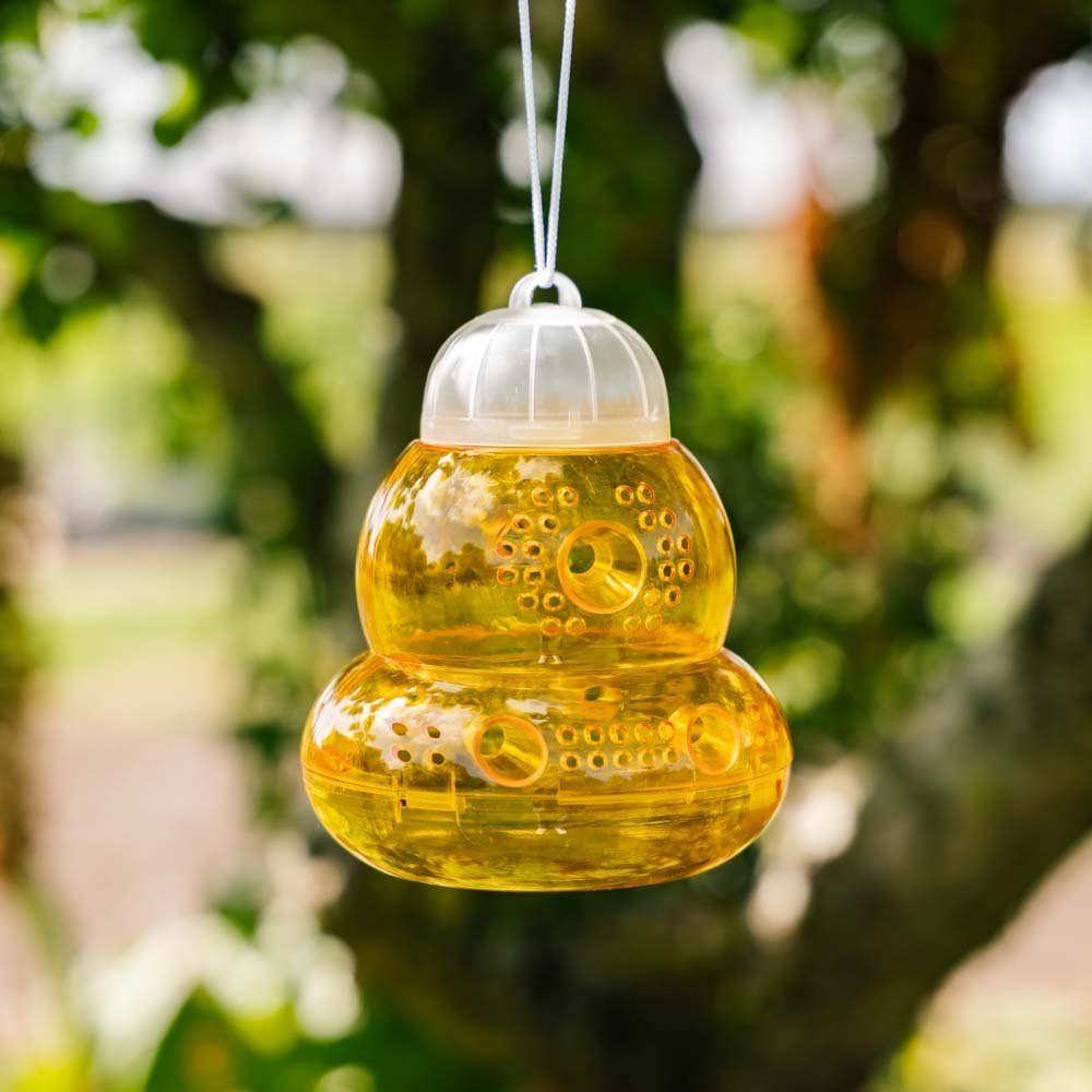 Piège à guêpes, paquet de 2