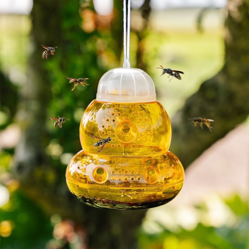 Piège à guêpes, paquet de 2