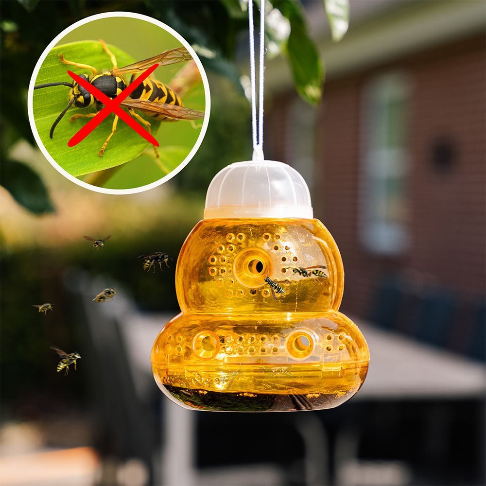 Piège à guêpes, paquet de 2