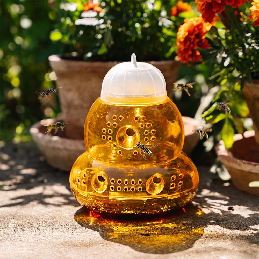 Piège à guêpes, paquet de 2