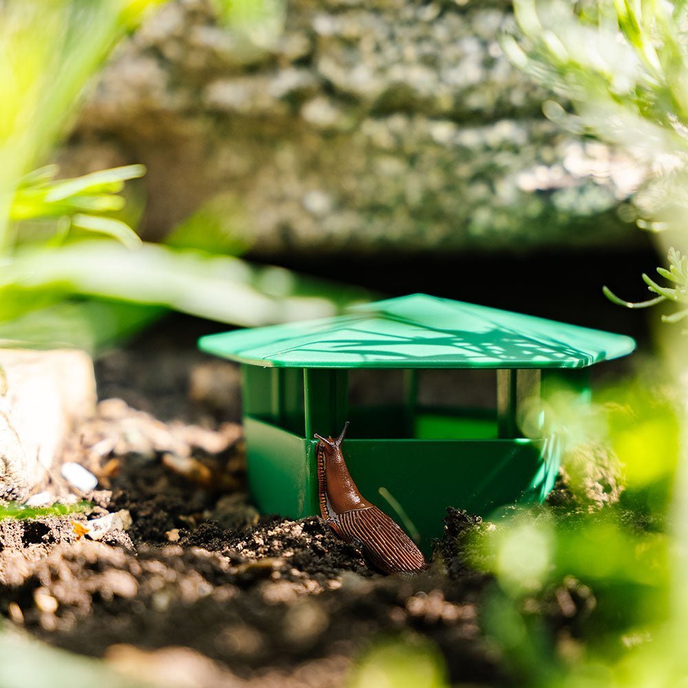 Piège à limaces, lot de 2