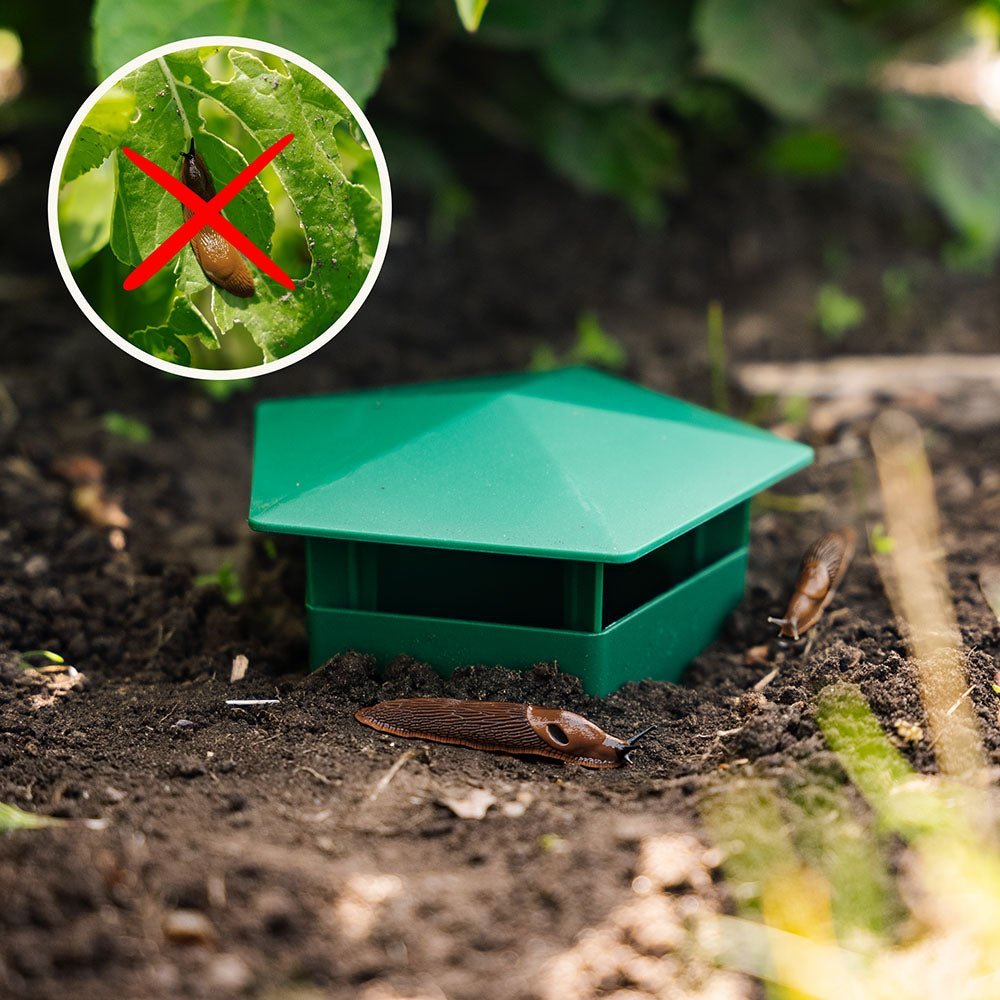 Piège à limaces, lot de 2