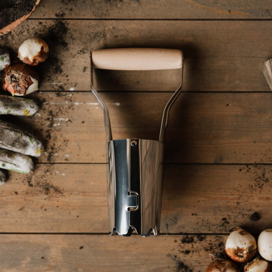 Planteurs de bulbes en acier inoxydable