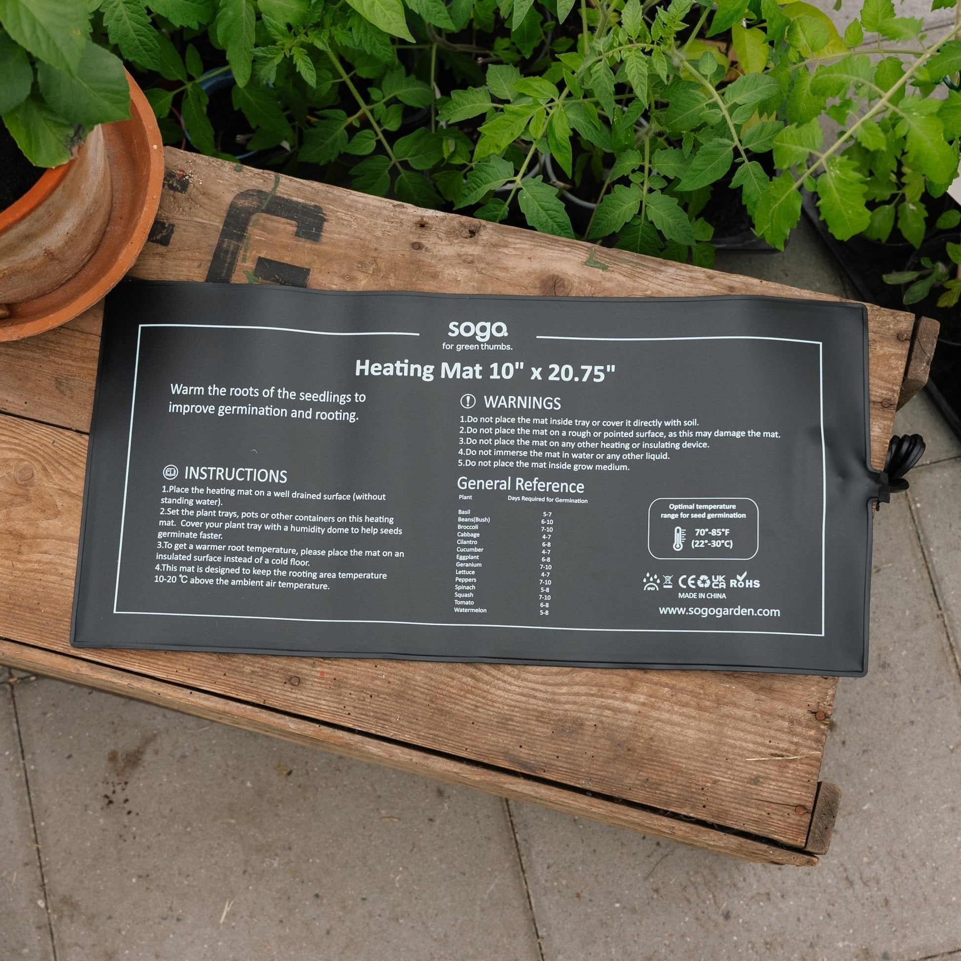 Plaque chauffante pour germination, 21W