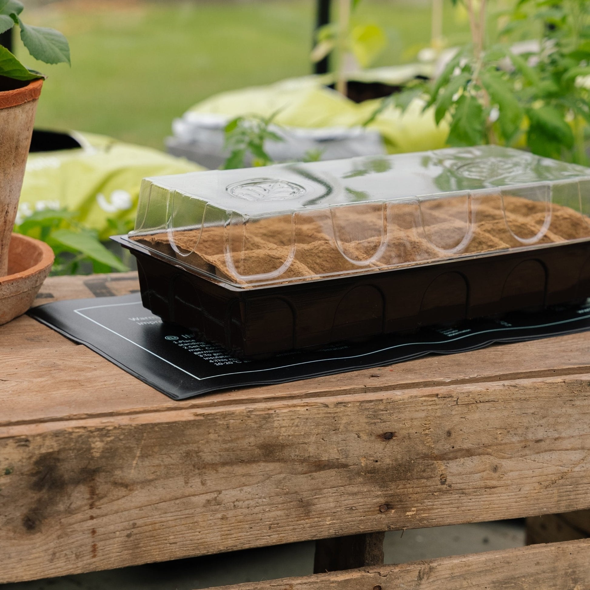 Plaque chauffante pour germination, 21W