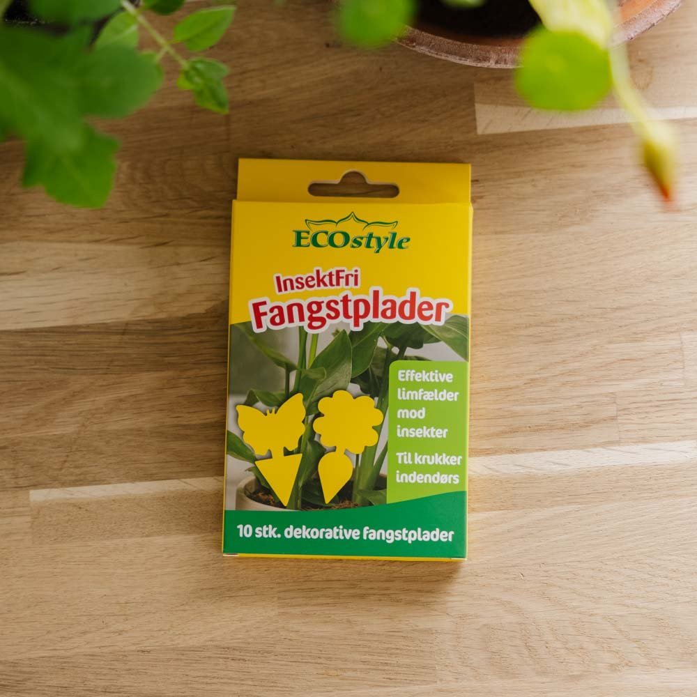 Plaques pièges InsectFree avec motifs, 10 pièces