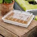 Plateau à semis avec 30 pots écologiques