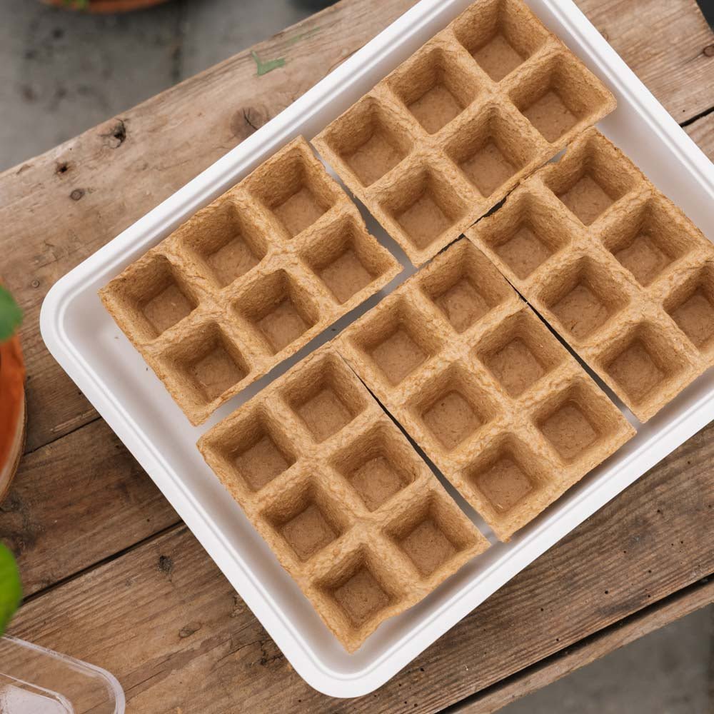 Plateau à semis avec 30 pots écologiques