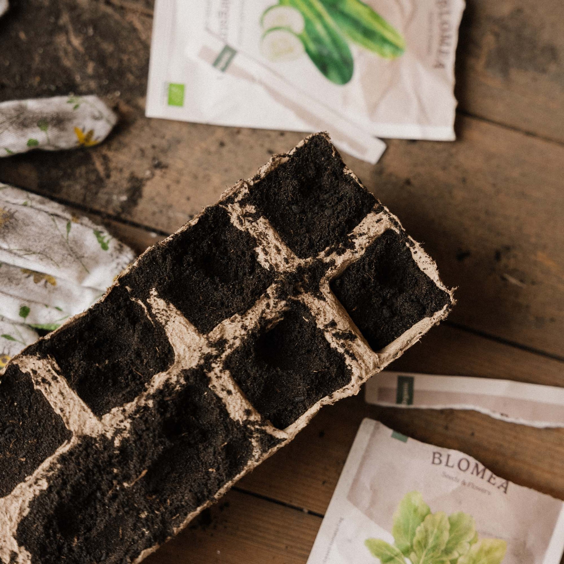 Plateaux de semis biodégradable, grand, lot de 4