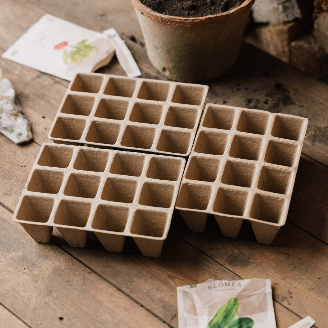 Plateaux de semis biodégradables, petits, lot de 3