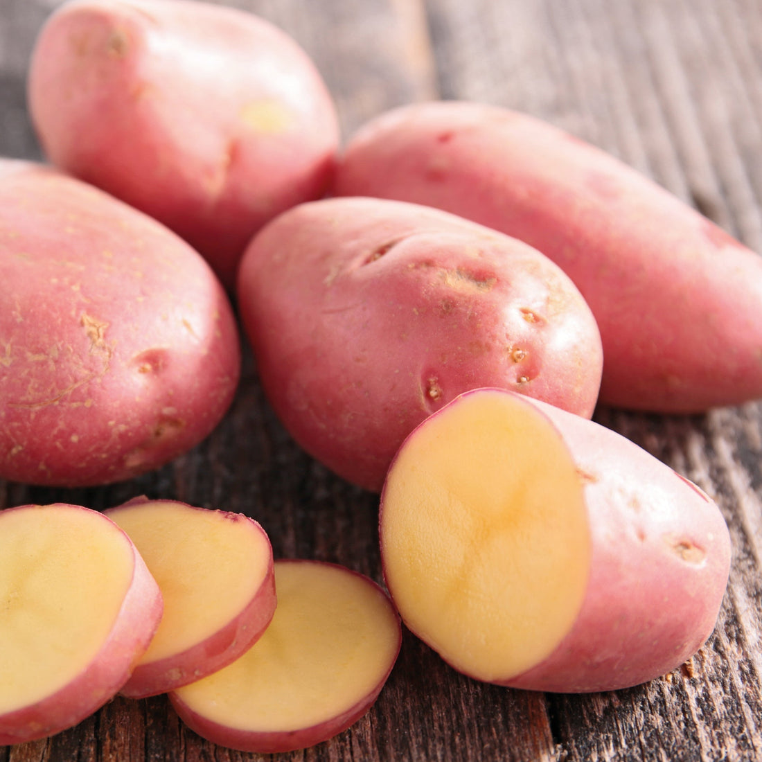 Pomme de terre de semence 'Laura'