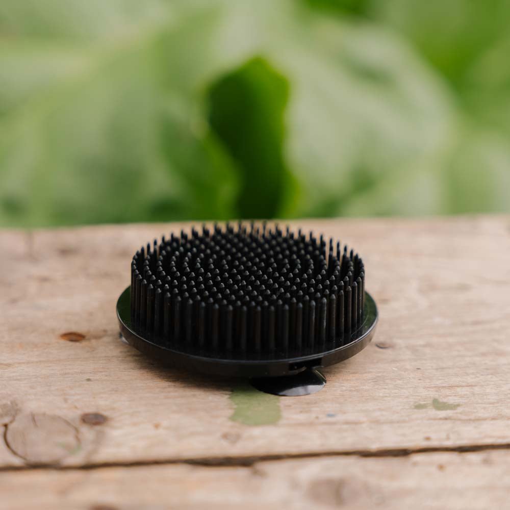 Porte - fleurs noir (plastique), Ø : 6,9 cm