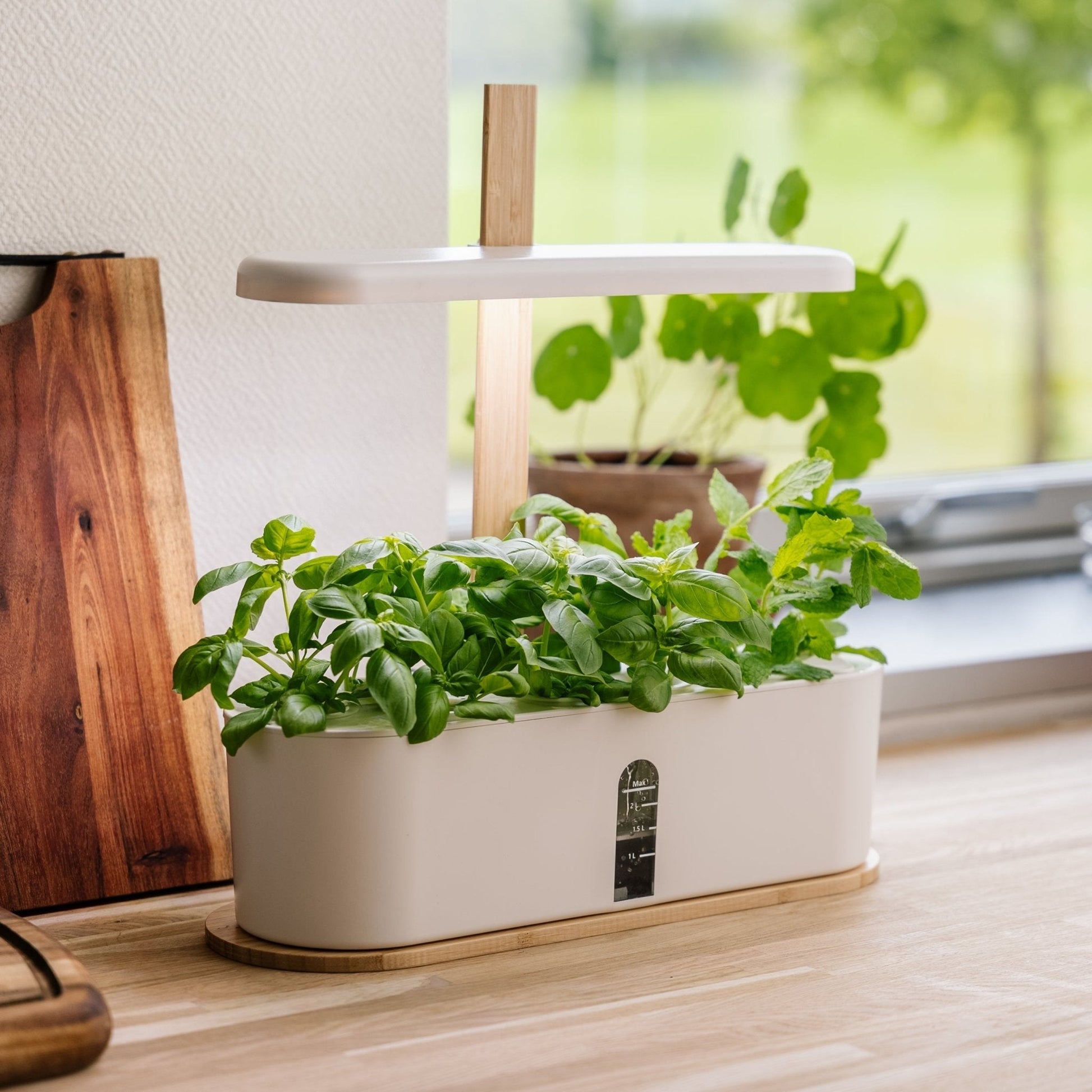 Potager d'intérieur grand format