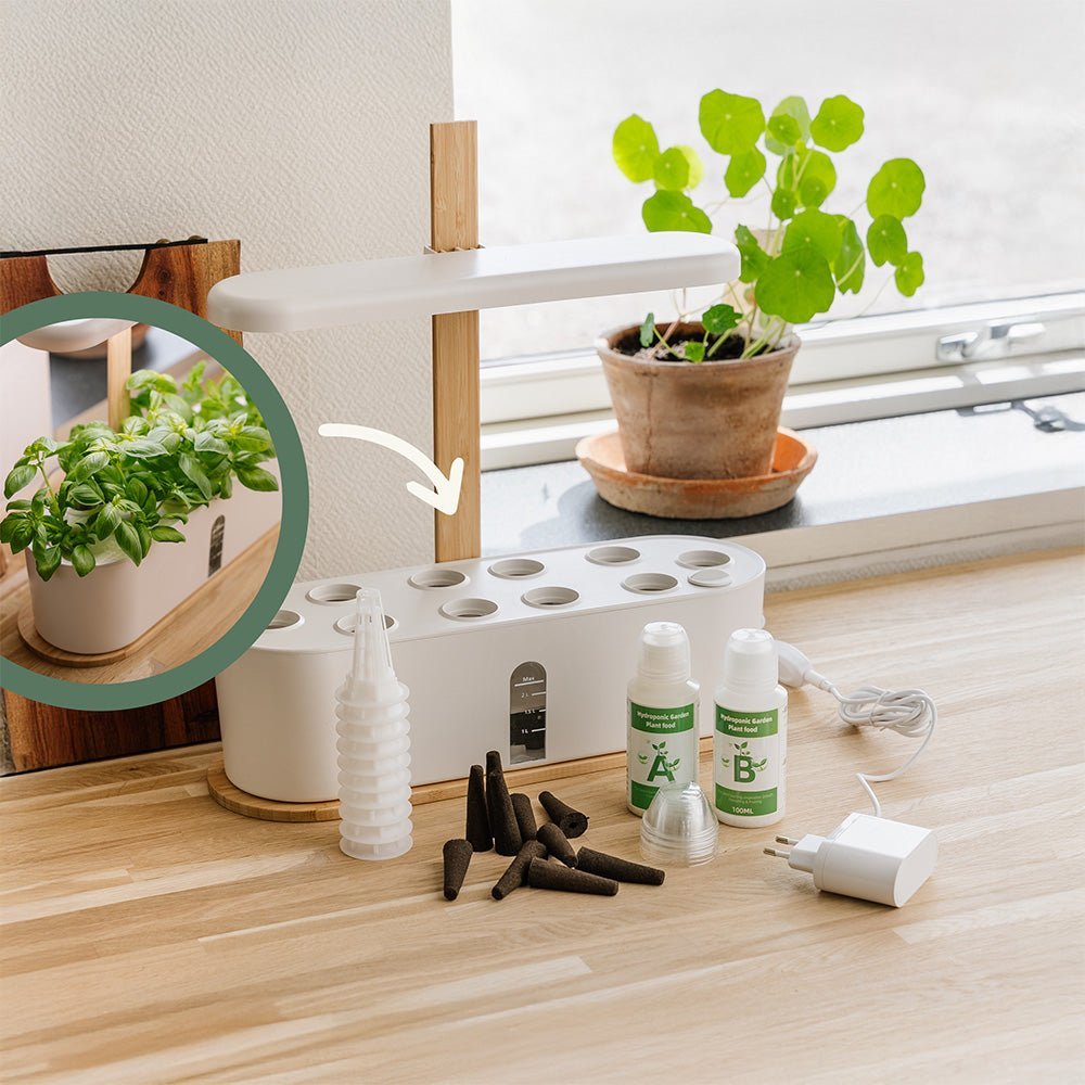 Potager d'intérieur grand format