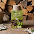 Pots en fibre biodégradable 10 cm, lot de 12