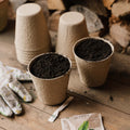 Pots en fibre biodégradable 10 cm, lot de 12