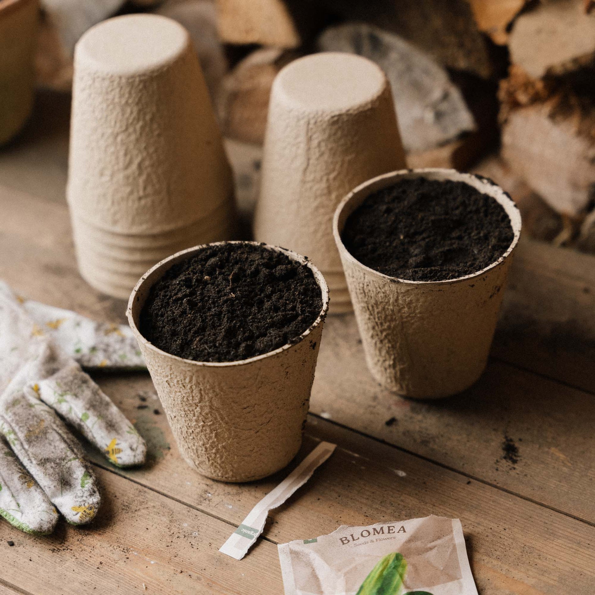 Pots en fibre biodégradable 10 cm, lot de 12