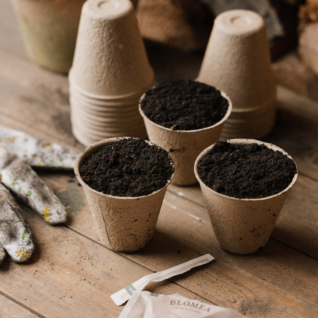 Pots en fibre biodégradable 8 cm, lot de 18