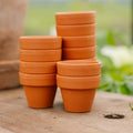 Pots en terre cuite 4/5 cm, 12 pièces
