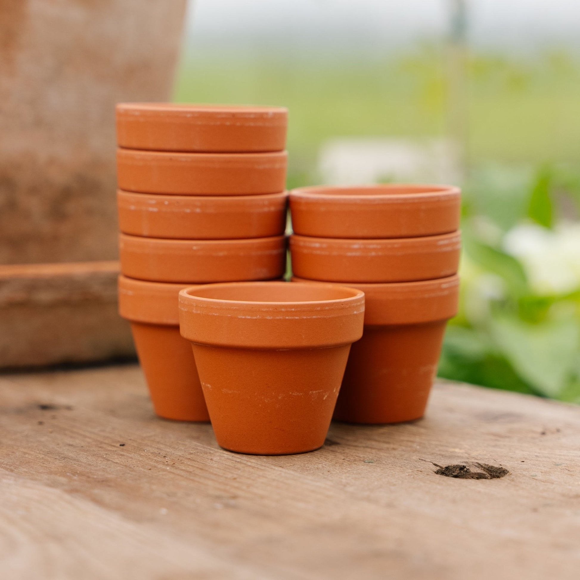 Pots en terre cuite 5/6 cm, 9 pièces