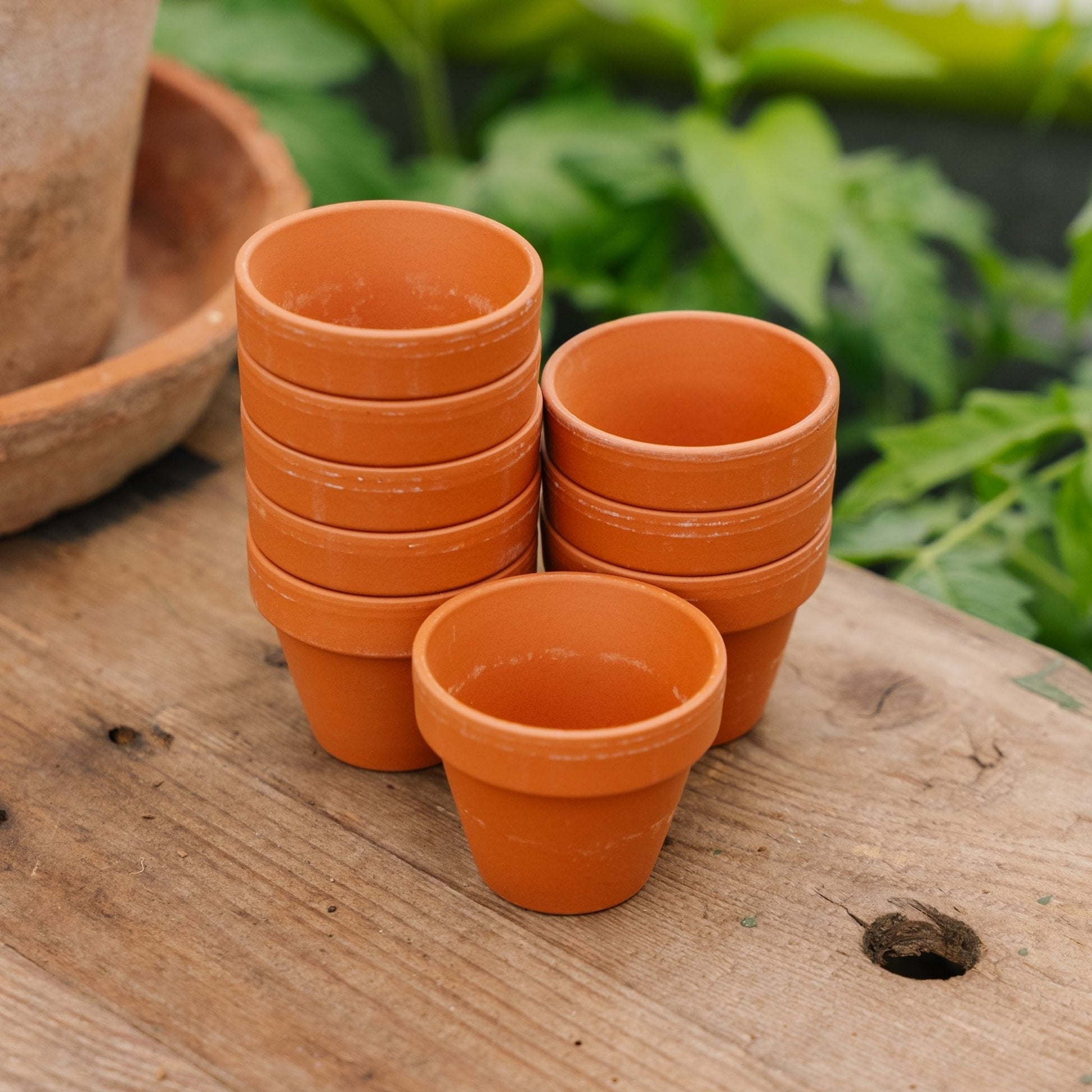 Pots en terre cuite 5/6 cm, 9 pièces