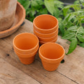 Pots en terre cuite 7/8 cm, 7 pièces
