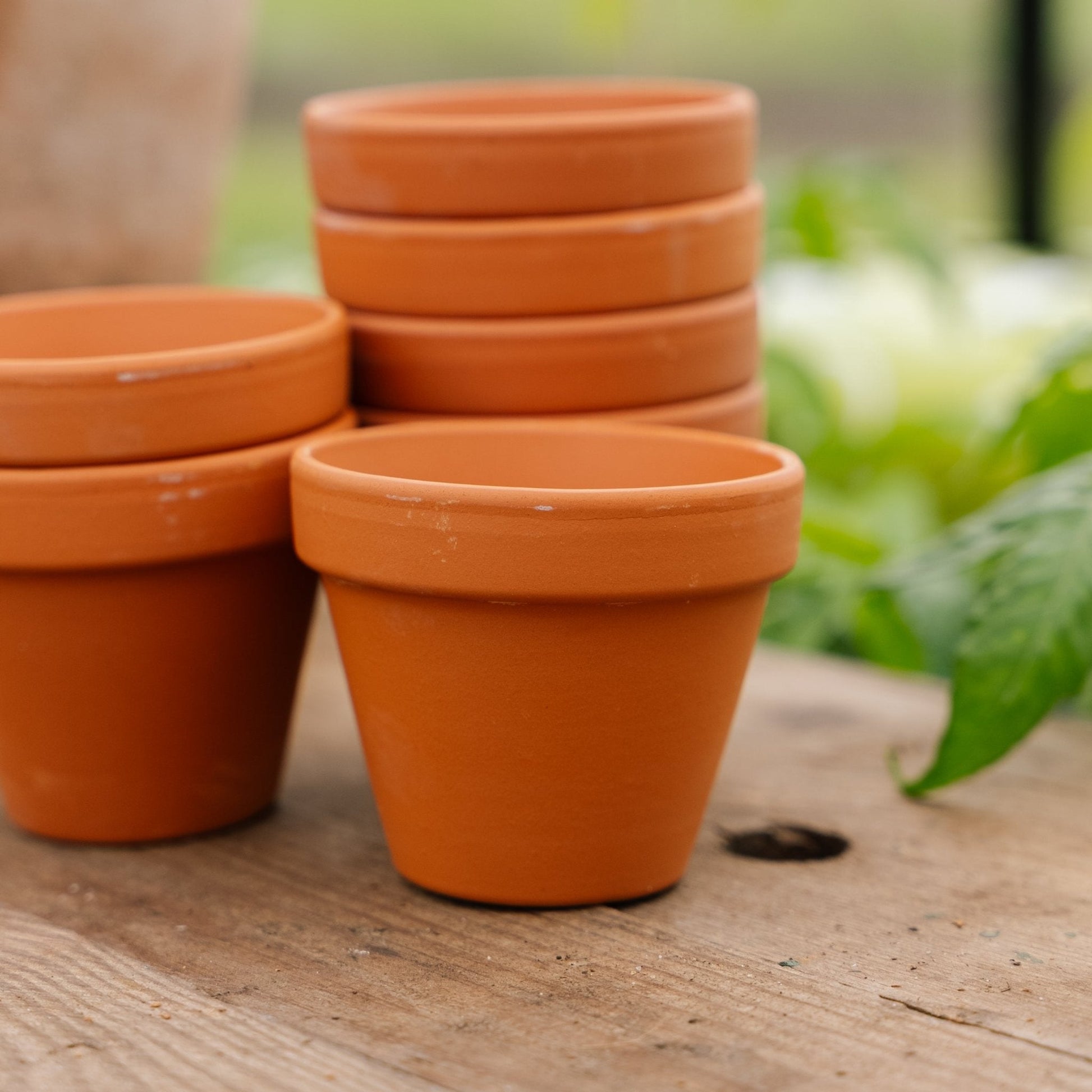 Pots en terre cuite 7/8 cm, 7 pièces