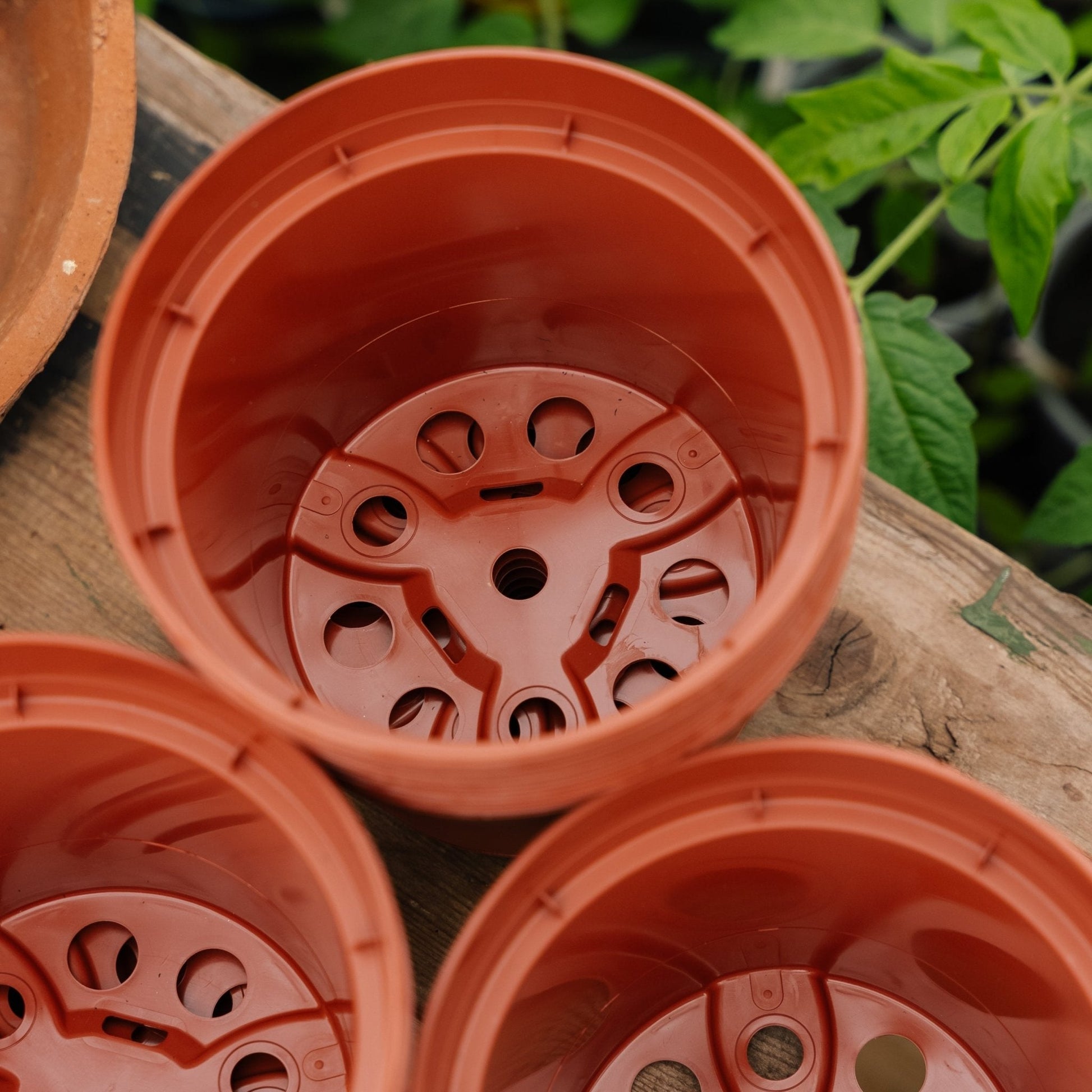 Pots pour plantes 13 cm, 12 pièces