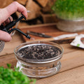 Pulvérisateur pour micropousses