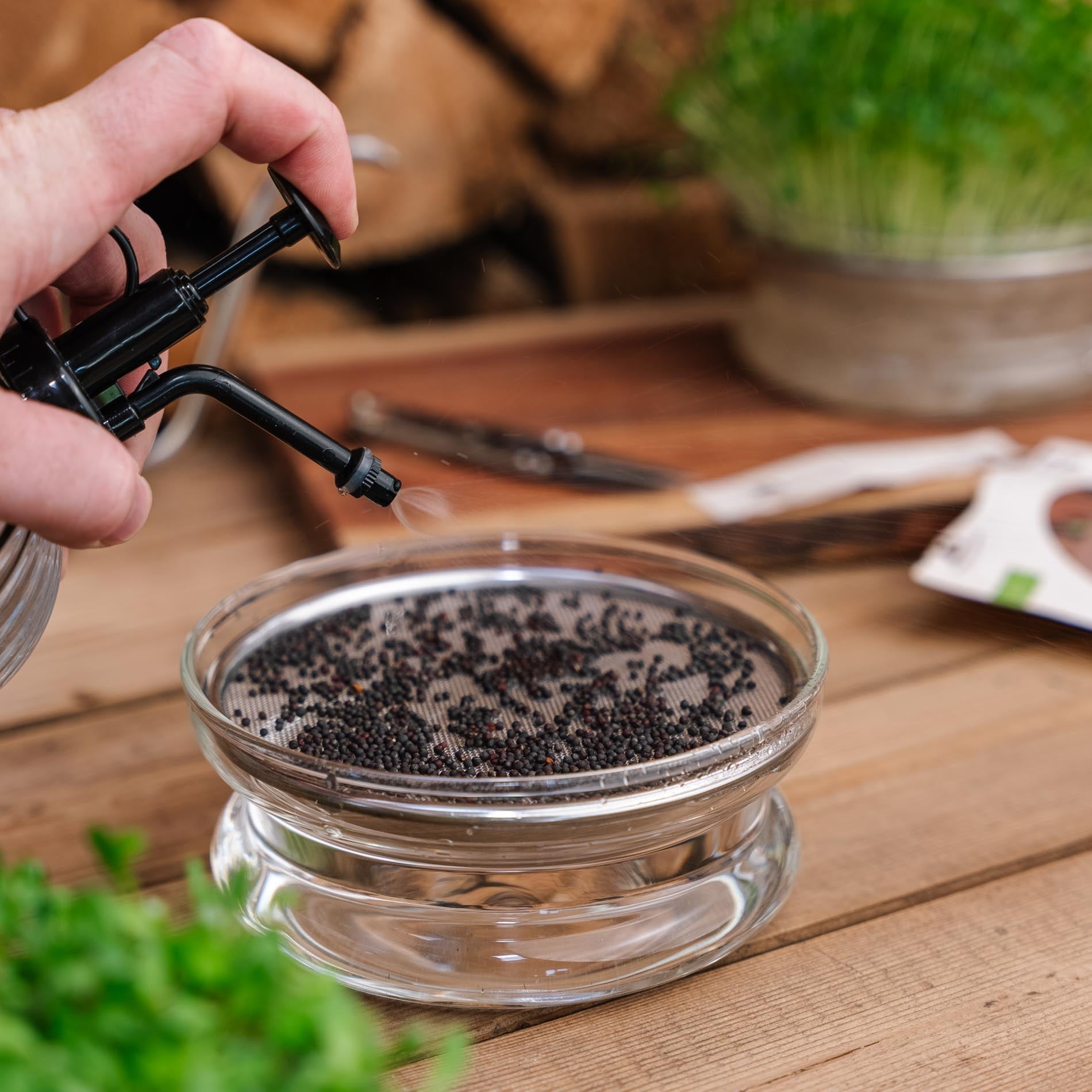 Pulvérisateur pour micropousses