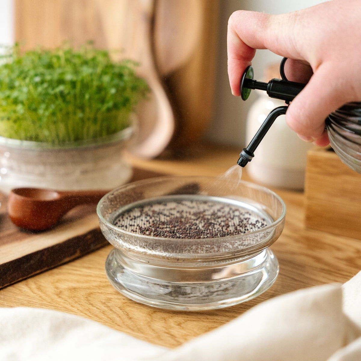Pulvérisateur pour micropousses