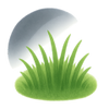 Gazon d'ombre