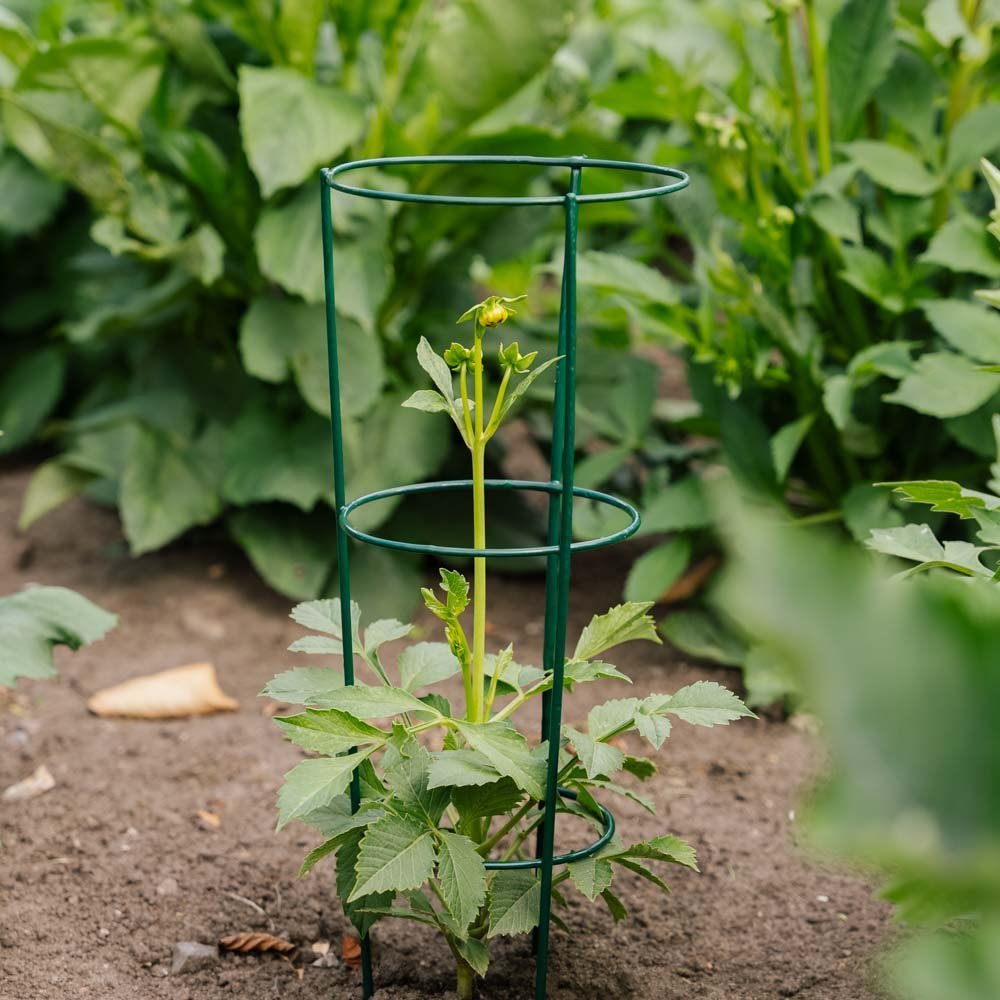 Support conique pour plantes, L : 18 cm l : 18 cm H : 48 cm