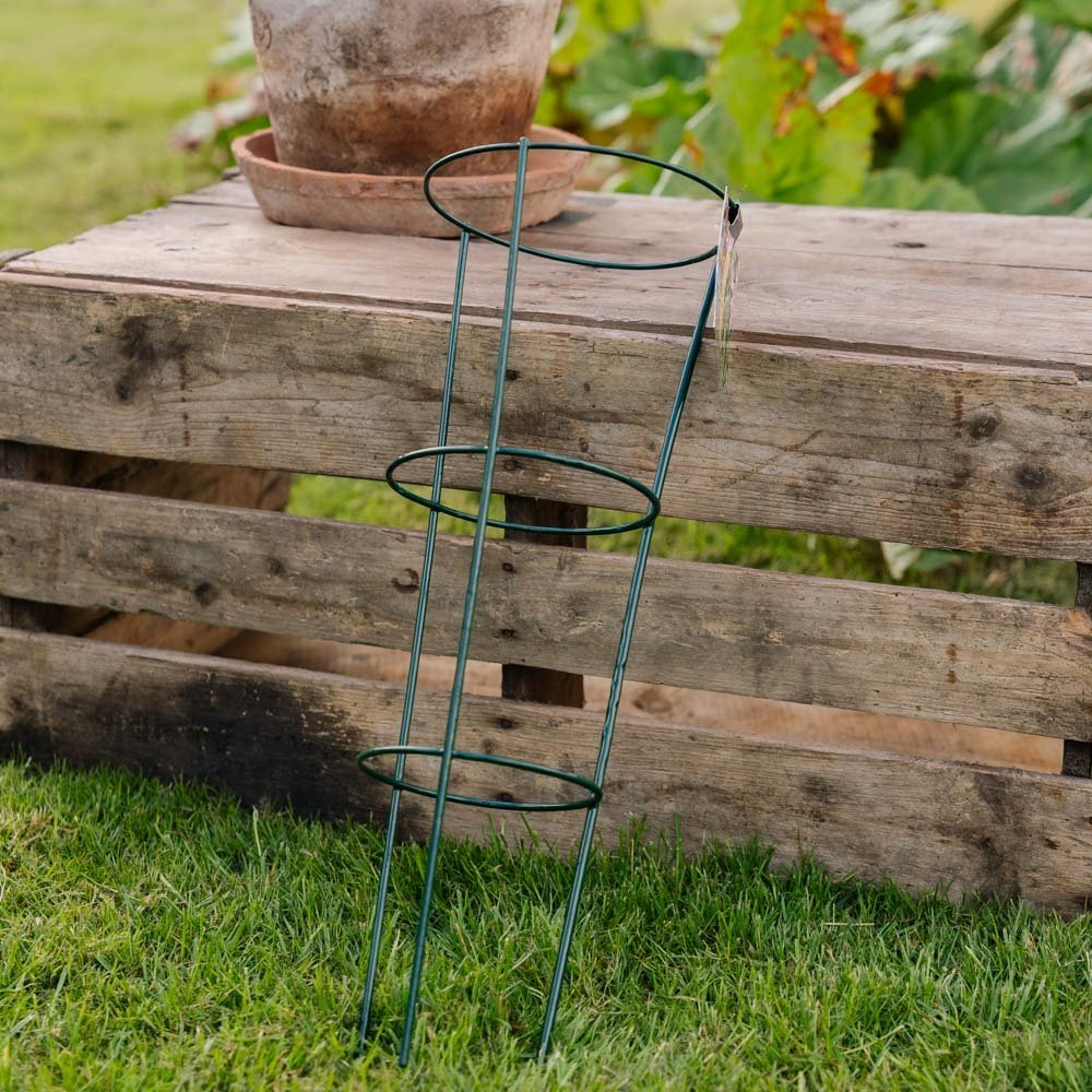 Support conique pour plantes, L : 18 cm l : 18 cm H : 48 cm