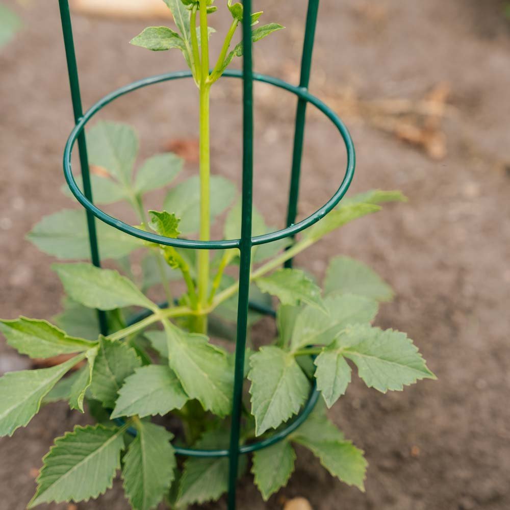 Support conique pour plantes, L : 18 cm l : 18 cm H : 48 cm