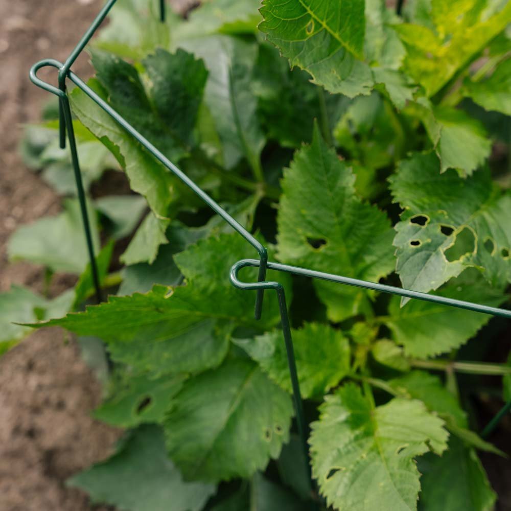 Supports pour plantes, lot de 4, H : 45 cm x L : 17cm