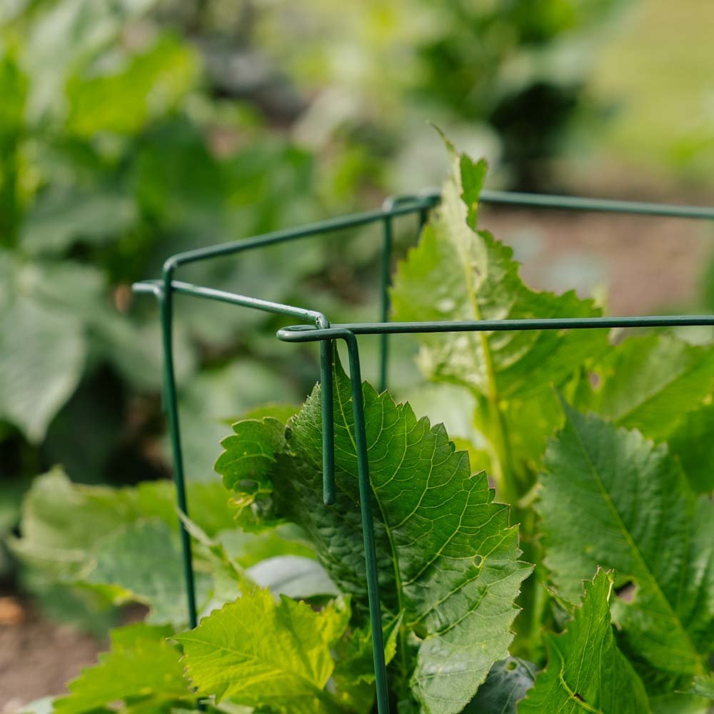 Supports pour plantes, lot de 4, H : 45 cm x L : 17cm