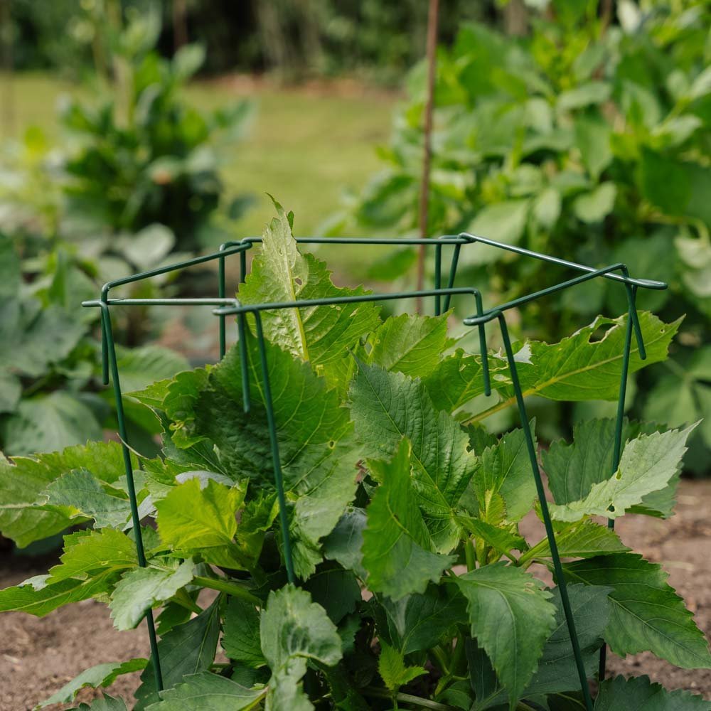 Supports pour plantes, lot de 4, H : 45 cm x L : 17cm