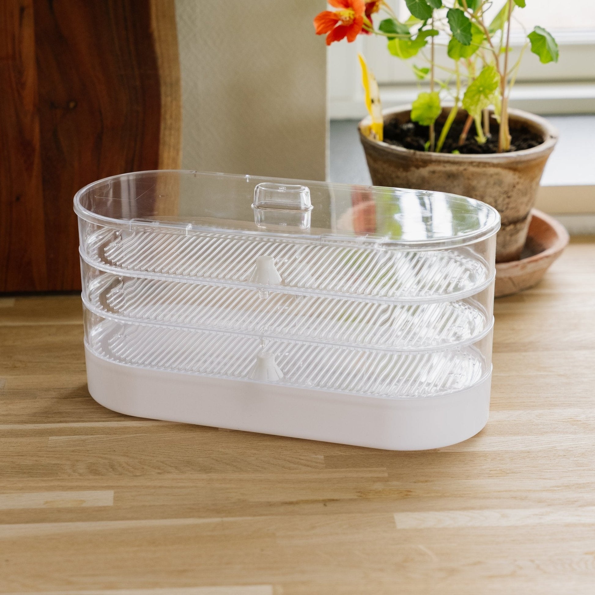 Tour à germination à 4 étages