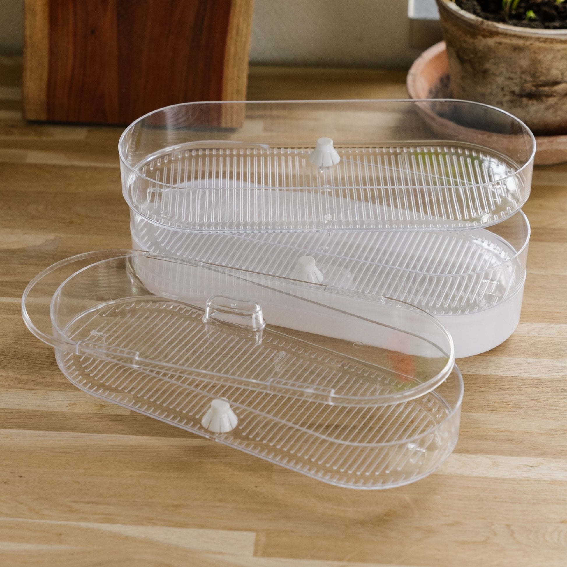 Tour à germination à 4 étages