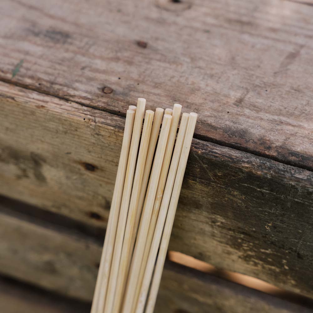 Tuteurs à fleurs. H40 cm, 10 pièces/lot.