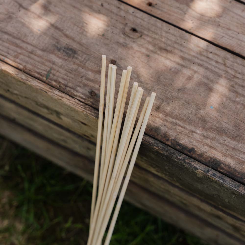 Tuteurs à fleurs. H50 cm, 10 pièces/lot.