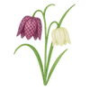 Fleurs de printemps